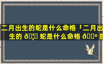 二月出生的蛇是什么命格「二月出生的 🦋 蛇是什么命格 🌺 的人」